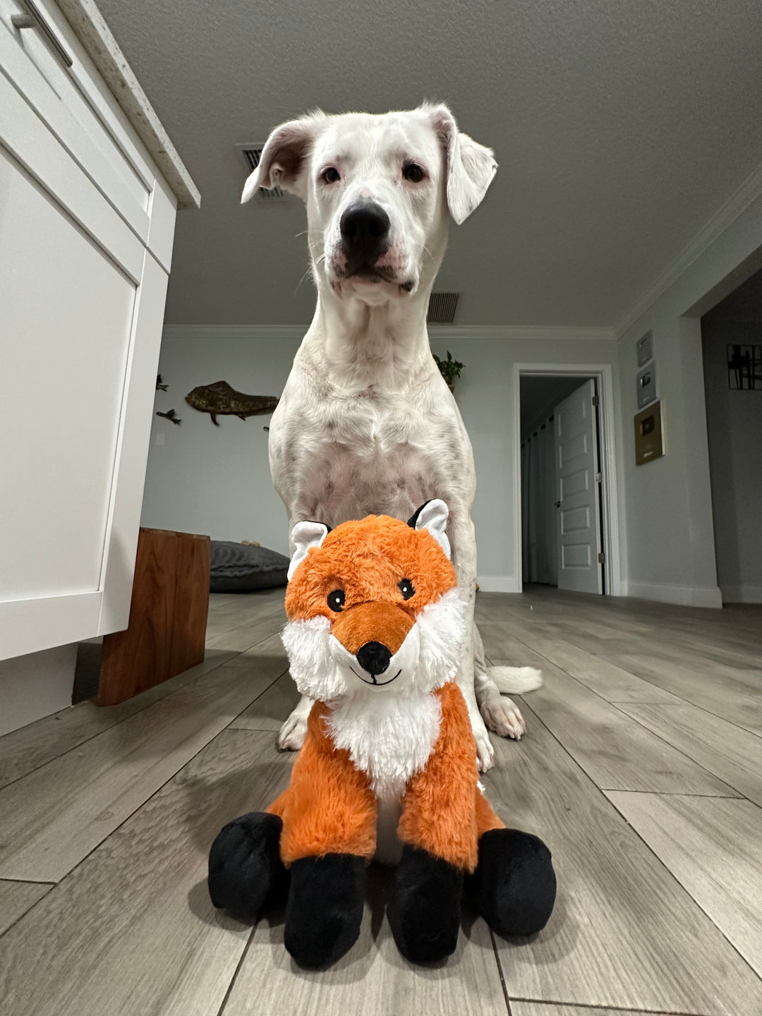 Red Fox Plushie