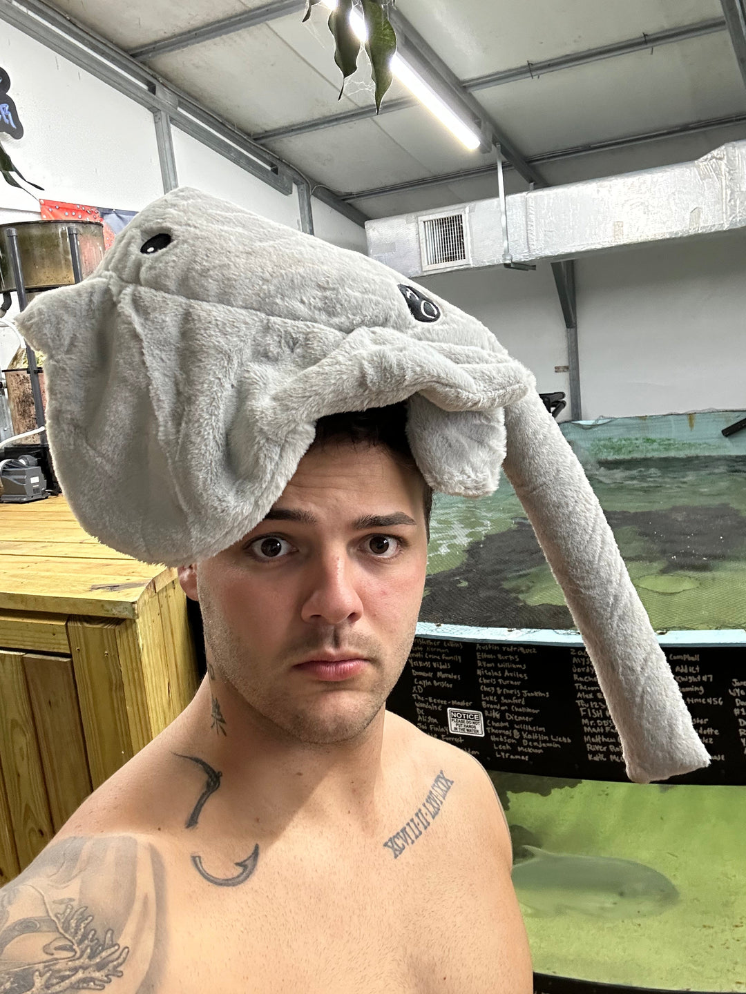 Stingray Plushie