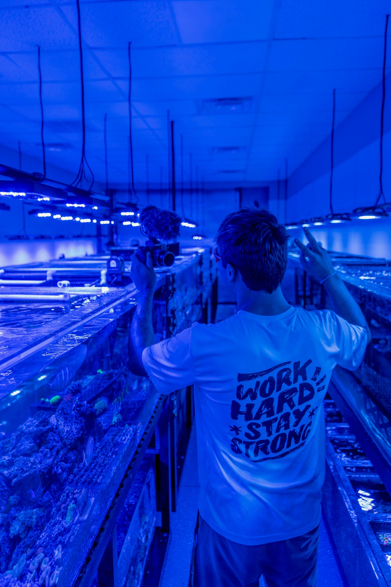 Work Hard Stay Strong T-Shirt